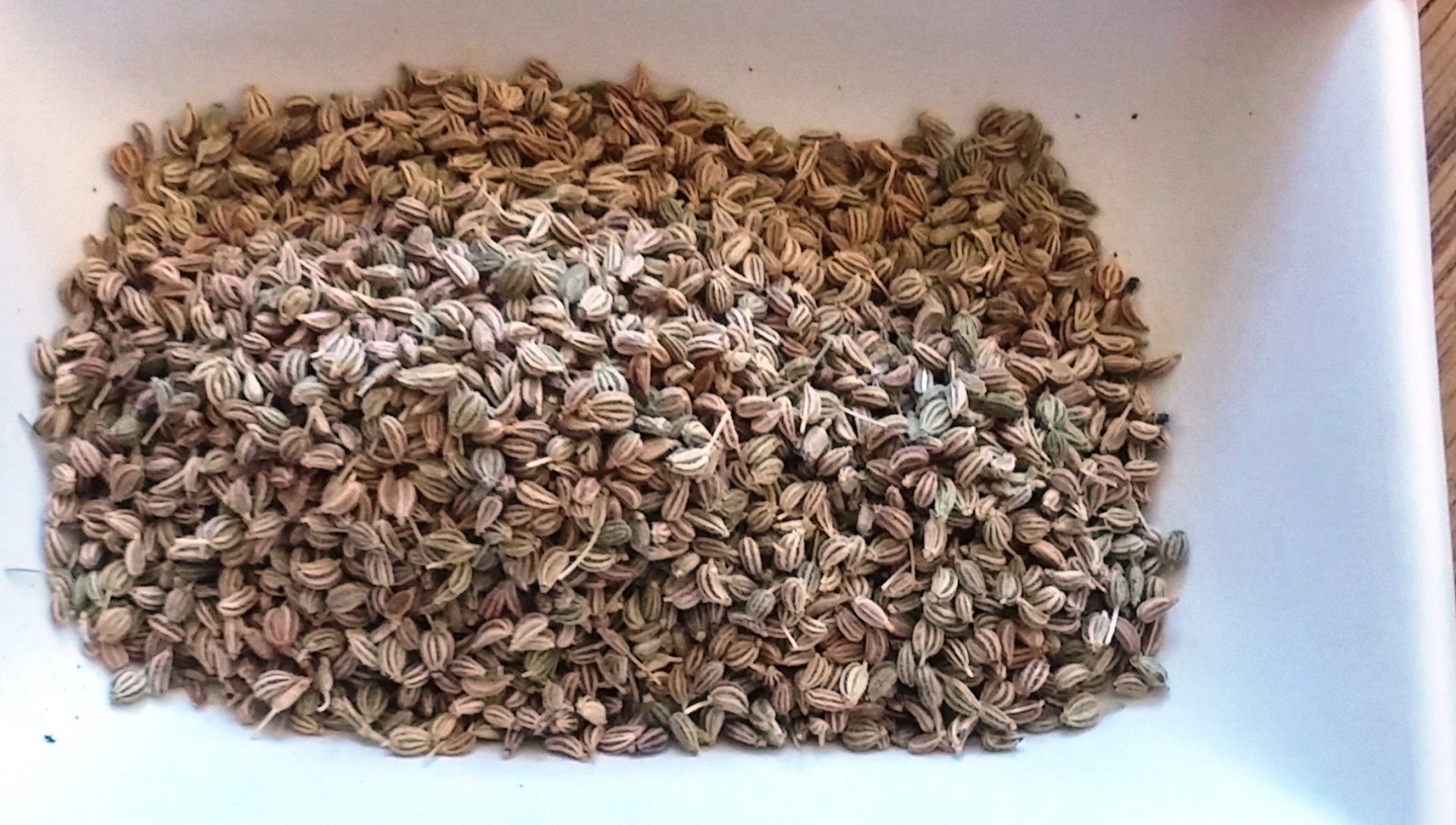 Ajwain